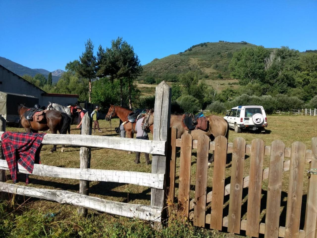 Pensjonat La Era Lario Zewnętrze zdjęcie